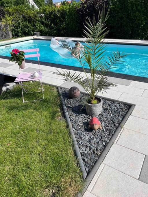 Le Gite Des Cigogneaux Schwenheim Extérieur photo